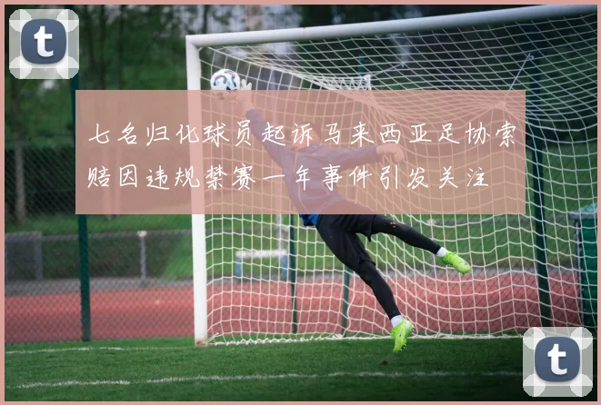 七名归化球员起诉马来西亚足协索赔因违规禁赛一年事件引发关注