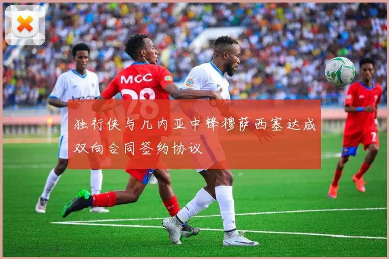 独行侠与几内亚中锋穆萨西塞达成双向合同签约协议