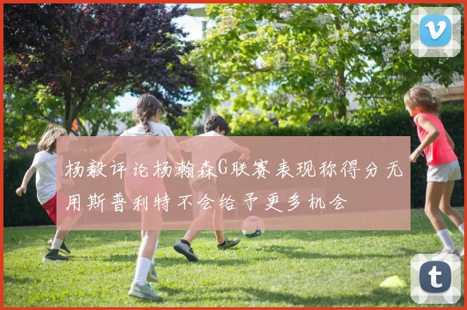 杨毅评论杨瀚森G联赛表现称得分无用斯普利特不会给予更多机会
